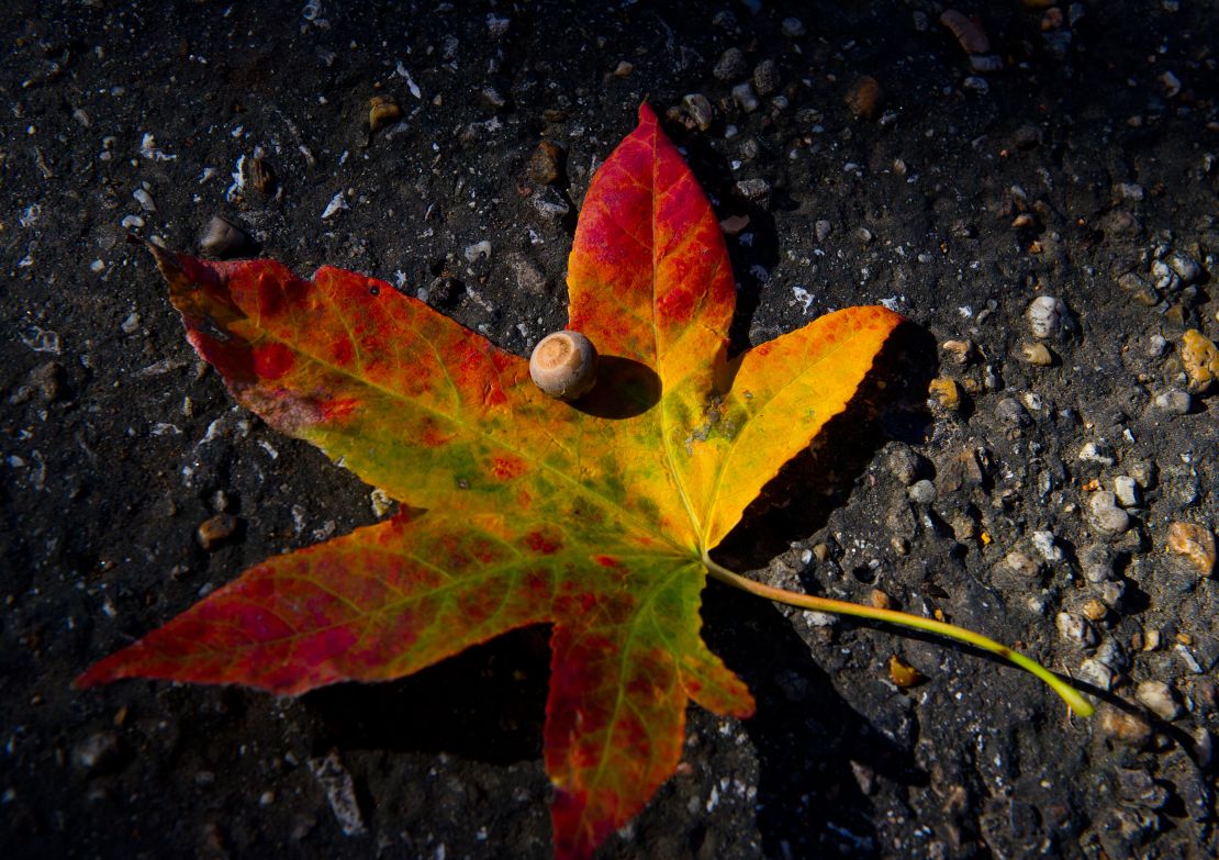Not only should fall temperatures be a relief from a hot summer, but it could stack up as a less hectic travel season.