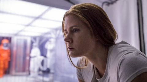 <strong>"Arrival": </strong> Amy Adams stars as a linguistics professor recruited to interpret the language of aliens in this critically acclaimed sci-fi film. <strong>(Amazon Prime, Hulu) </strong>