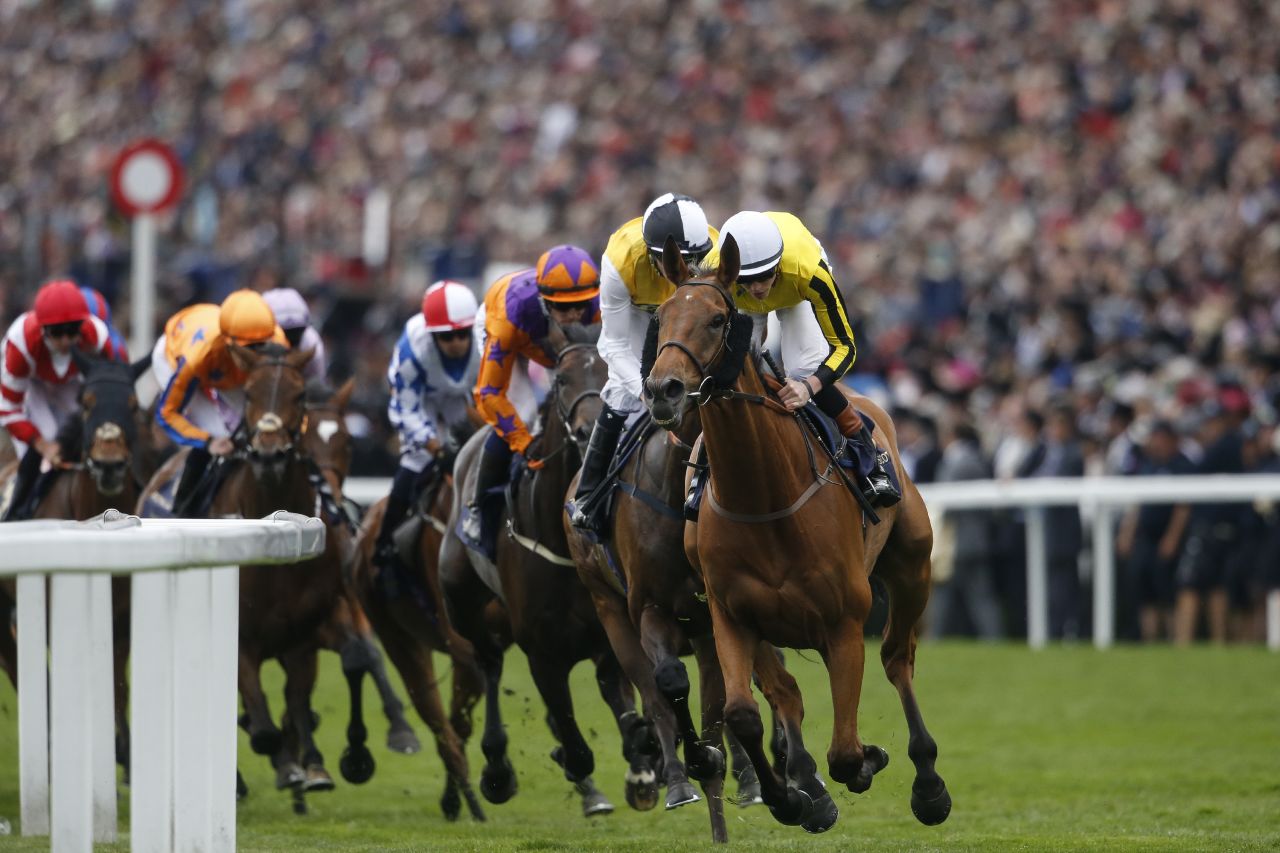 Big Orange, ridden by James Doyle, won the Gold Cup, the feature race on Ladies' Day at Royal Ascot.