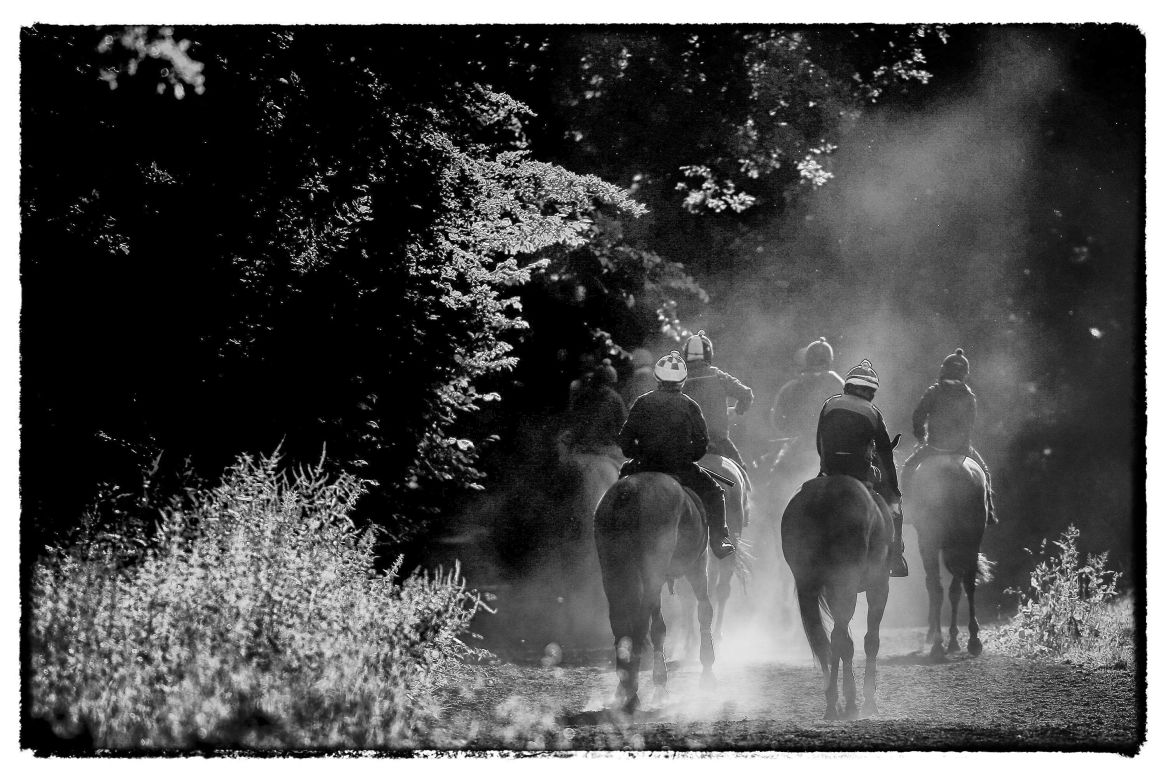 With Royal Ascot approaching, horses return though the woods after working on the Warren Hill gallops at Newmarket.