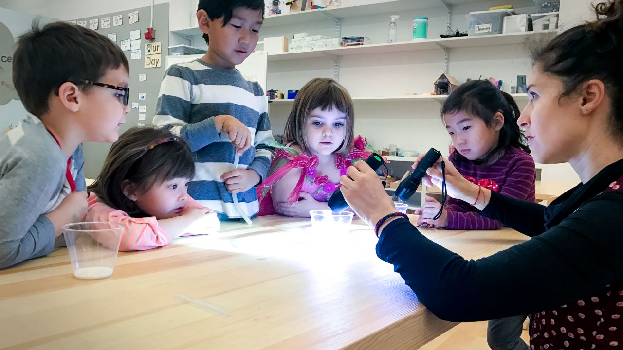 Only 19 students currently attend the Portfolio School, but it plans to have 80 students in two years.