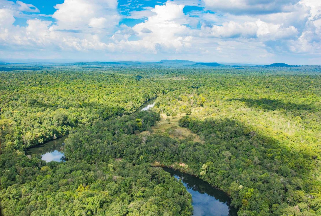 Wildlife is slowly returning to the national parks around the Cardamon Tented Camp.