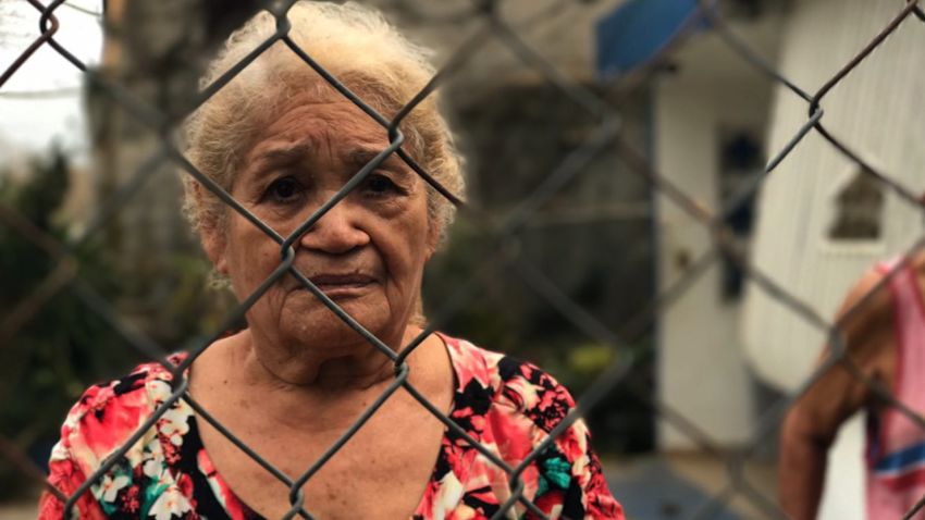 Puerto Rico survivors facebook