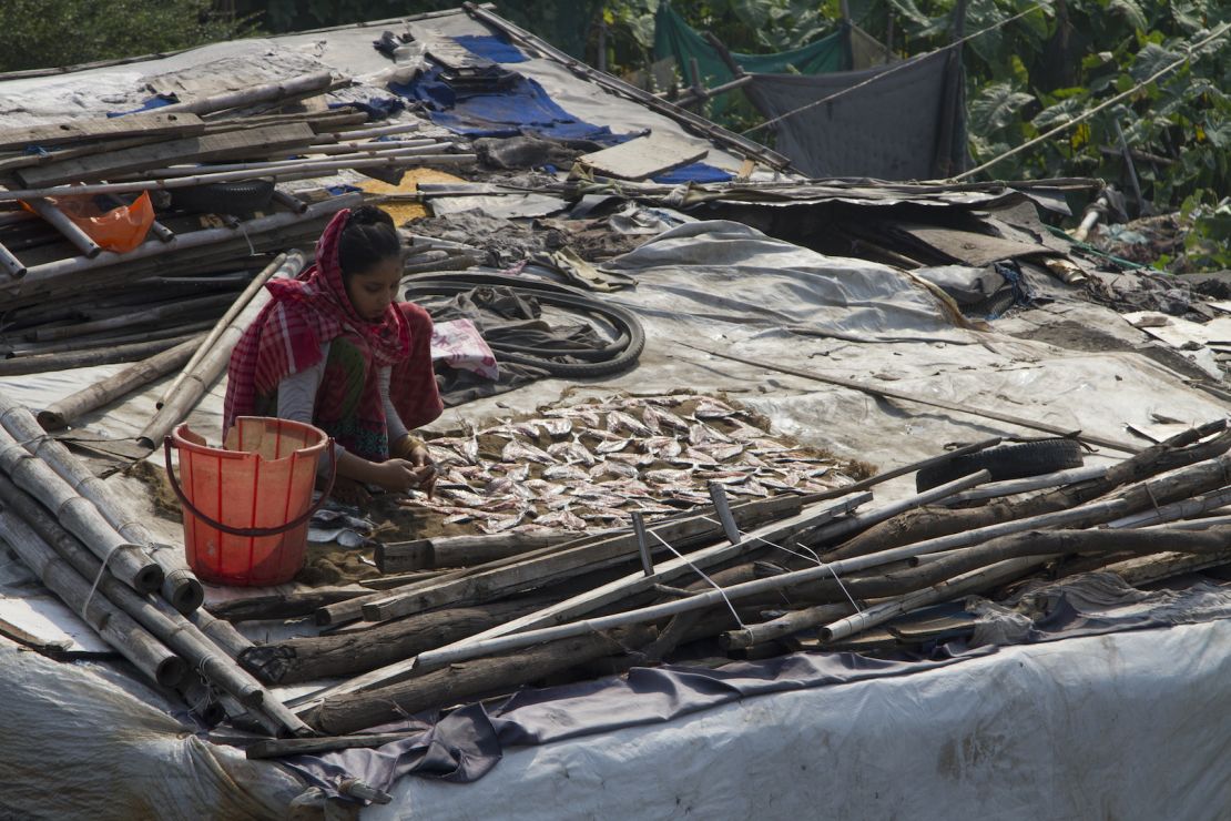 A woman in Delhi's Kanchan Kunj Rohingya settlement dries fish caught in the nearby Yamuna river.