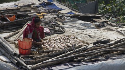 A woman in Delhi's Kanchan Kunj Rohingya settlement dries fish caught in the nearby Yamuna river.