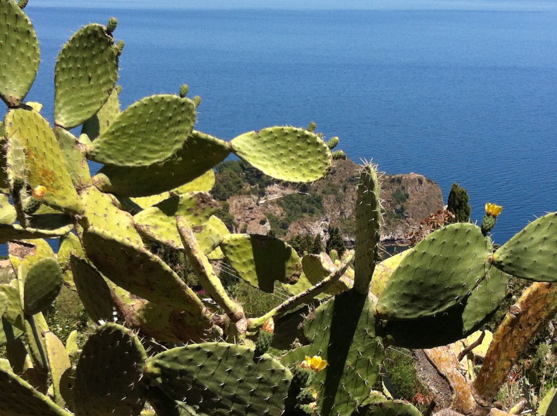 Most of the island's elders don't wan't to speak about its past.