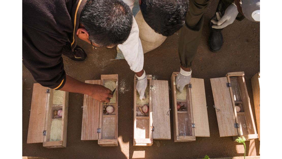 Officers from the Ministry of Public Health work on rat traps in a primary school in Antananarivo.
