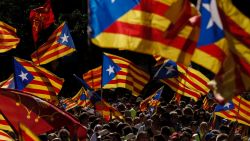People wave 'Esteladas' (pro-independence Catalan flags) as they gather during a pro-independence demonstration, on September 11, 2017 in Barcelona during the National Day of Catalonia, the "Diada."
Hundreds of thousands of Catalans were expected to rally to demand their region break away from Spain, in a show of strength three weeks ahead of a secession referendum banned by Madrid. The protest coincides with Catalonia's national day, the "Diada," which commemorates the fall of Barcelona in the War of the Spanish Succession in 1714 and the region's subsequent loss of institutions and freedoms.
 / AFP PHOTO / PAU BARRENA        (Photo credit should read PAU BARRENA/AFP/Getty Images)
