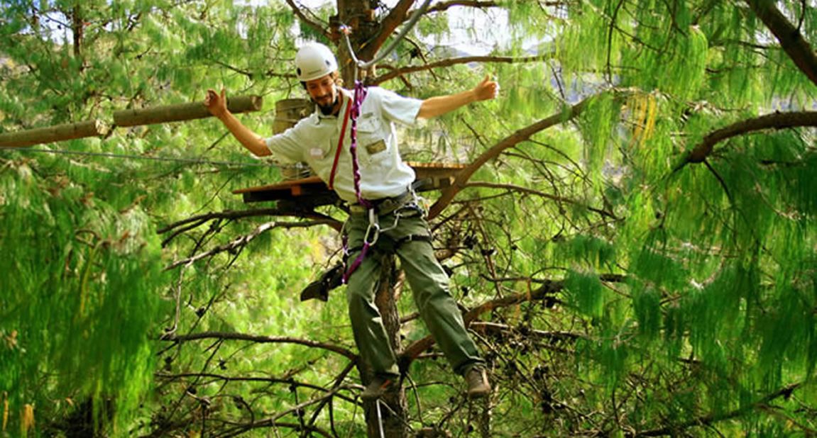 There are ziplines and treetop walks through the forest canopy for extra adventures.