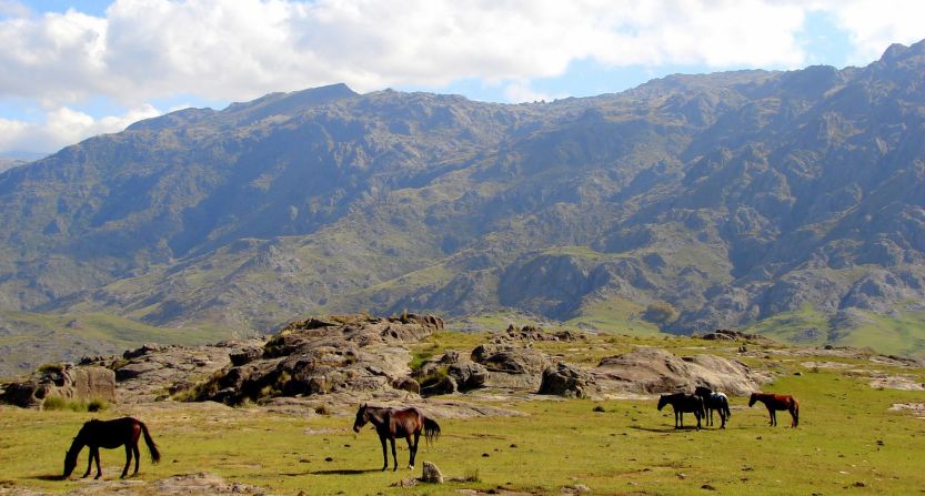 Beyond the forest lies a vast wilderness for adventurous tourists to explore on foot or by horseback. 