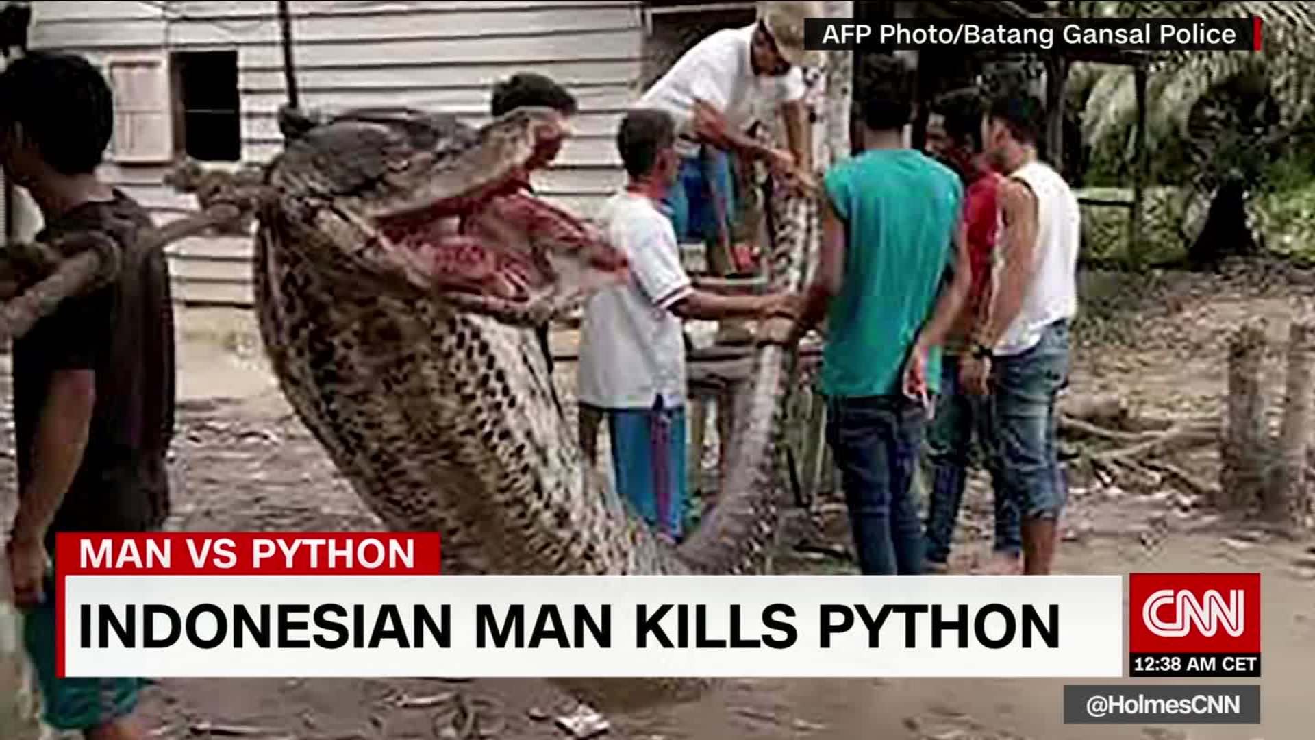 Man Kills Snake