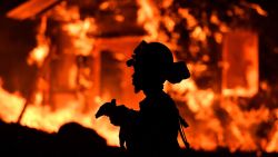An inmate firefighter monitors flames as a house burns in the Napa wine region in California on October 9, 2017, as multiple wind-driven fires continue to whip through the region.