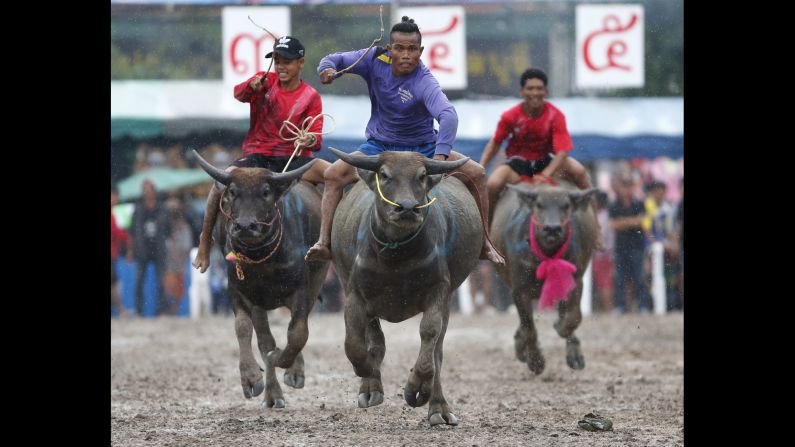 Jockeys compete during the annual water buffalo race in Chonburi Province, south of Bangkok, Thailand, on Wednesday, October 4.