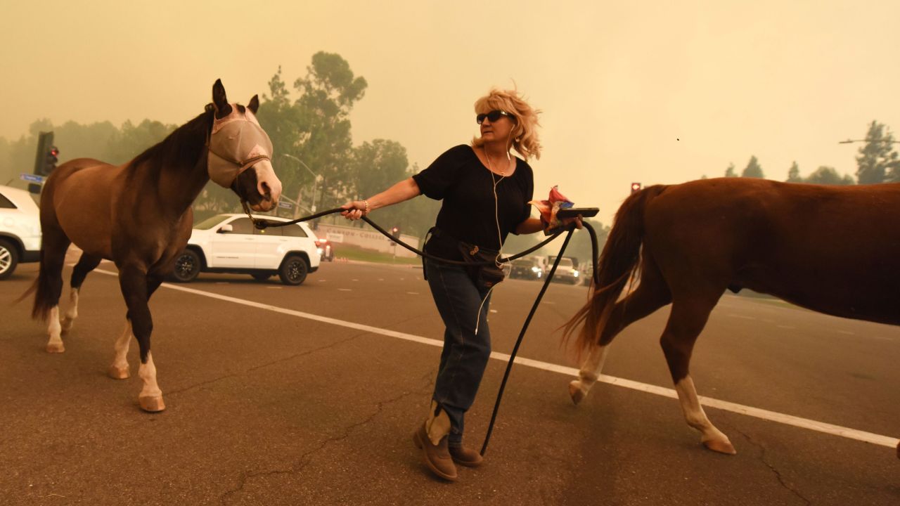 A woman moves horses in Orange as strong Santa Ana winds blow smoke from the Canyon 2 fire toward them on October 9.