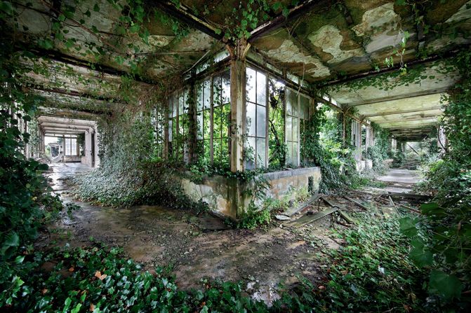 Ivy overtakes an old building in Henk Van Rensbergen's native Belgium. A pilot since the age of 22, he first flew as a captain for Belgium's national carrier Sabena until it went bankrupt in 2001. He now flies for TUI fly Netherlands.