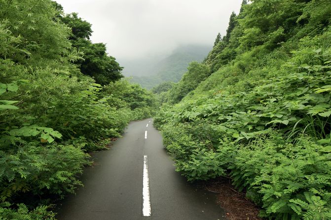 Asphalt succumbs to vegetation on a road in Japan. Asked about the weirdest experience he's had in his travels, Van Rensbergen said: "I don't believe in supernatural phenomena, but in the pitch dark corridors of an abandoned underground cemetery, on my own, I did feel a strange force resisting me going further in a certain direction. I decided to obey, out of respect to the dead."