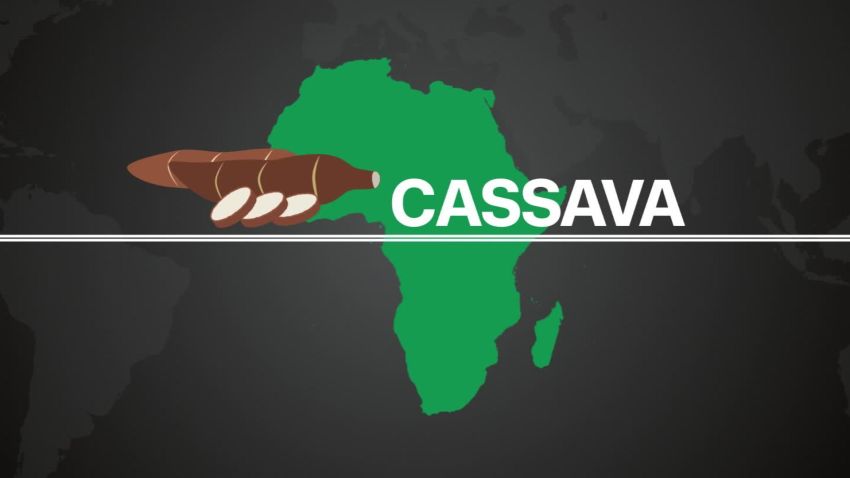 Cassava Production and Consumption in Africa_00000806.jpg