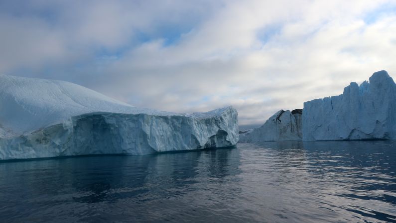 The wildlife in this area is amazing. Pods of whales and seal colonies are common sights. 