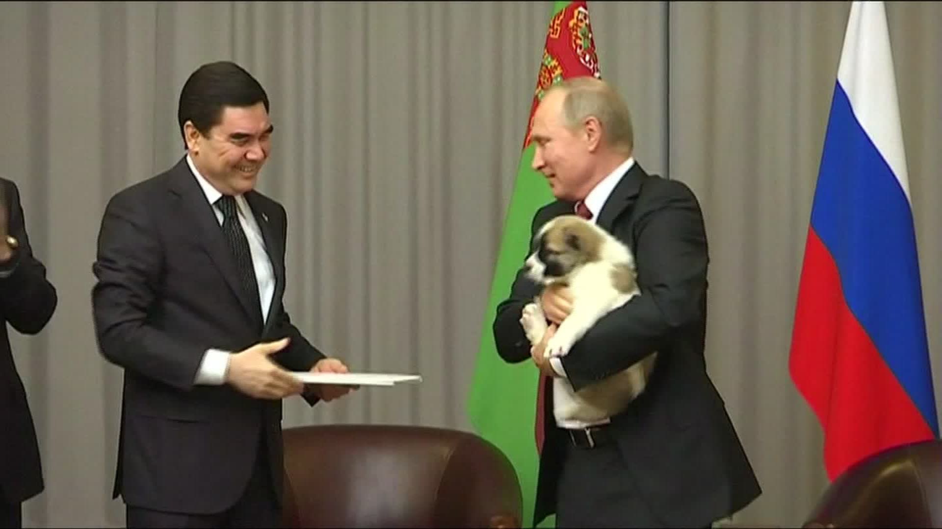 Russian President Putin the animal lover | CNN Russian President Putin the animal lover | CNN