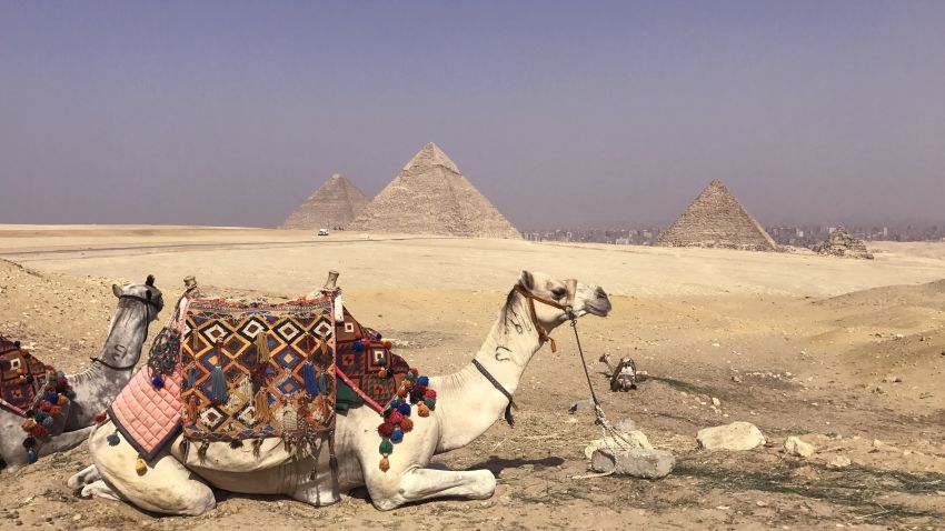 camel pyramids crop vr
