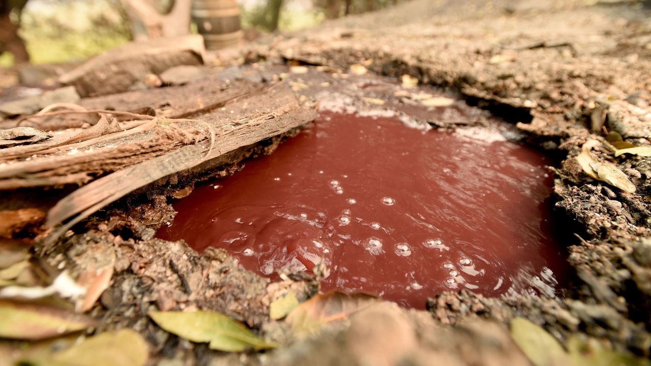 A bubbling underground river of wine flows away from a burned Paradise Ridge Winery in Santa Rosa, California on October 10, 2017.
Firefighters encouraged by weakening winds were battling 17 large wildfires on Tuesday in California which have left at least 13 people dead, thousands homeless and ravaged the state's famed wine country. / AFP PHOTO / JOSH EDELSON        (Photo credit should read JOSH EDELSON/AFP/Getty Images)