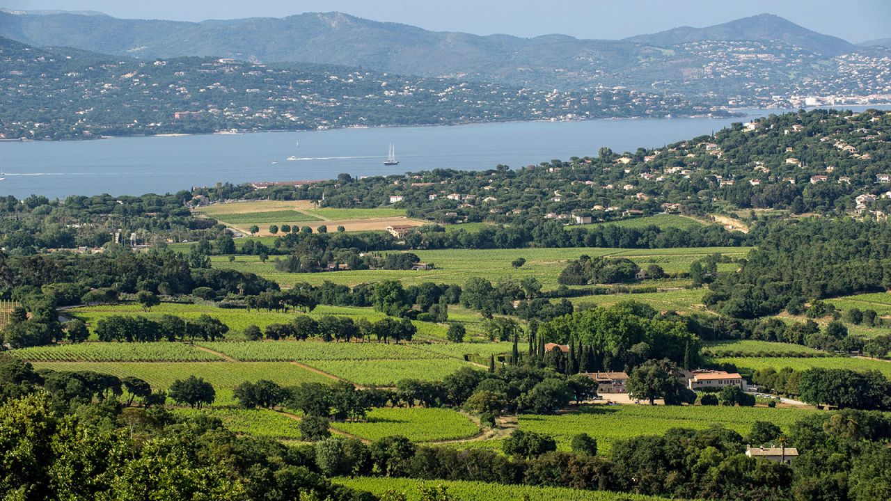 Nearby Gassin is renowned for its wineries.