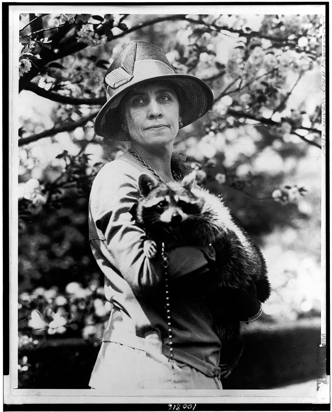 First Lady Grace Coolidge is seen holding her pet raccoon, Rebecca. 