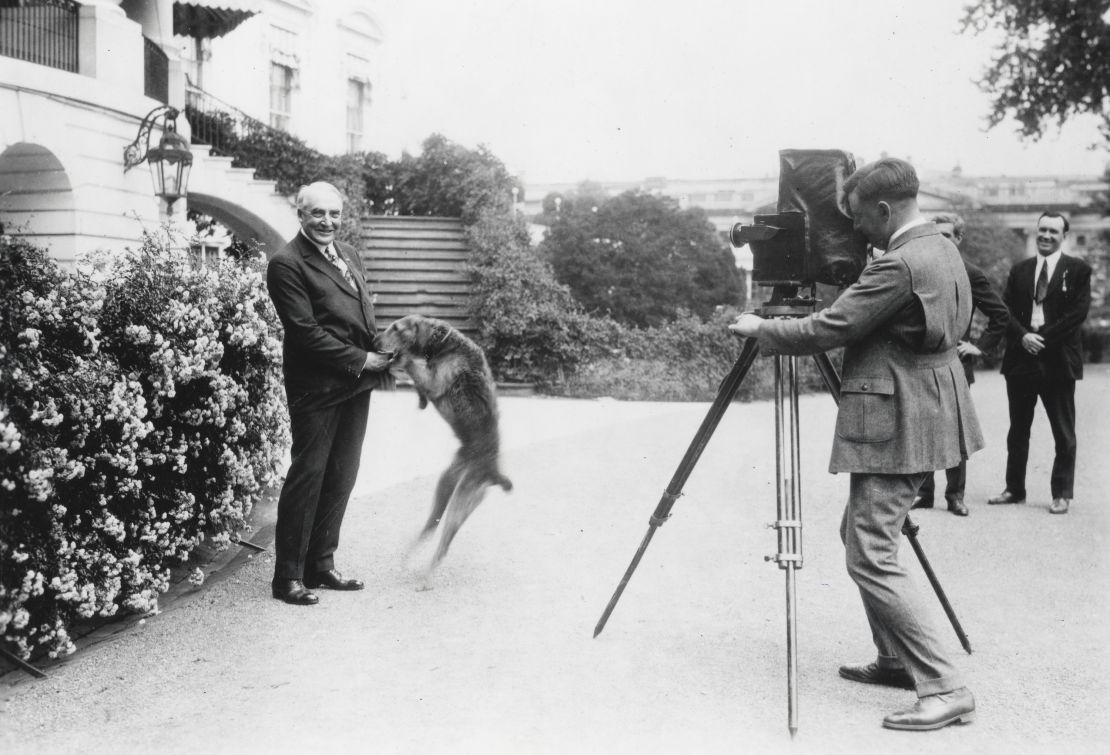 Harding is seen playing with Laddie Boy in front of the South Portico of the White House. 