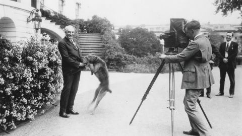Harding is seen playing with Laddie Boy in front of the South Portico of the White House.