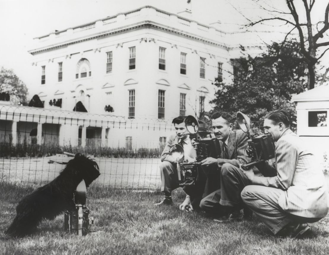 Roosevelt's dog Fala on the south lawn of the White House. 