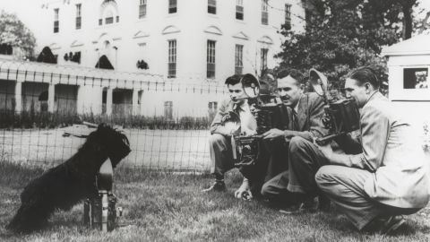 Roosevelt's dog Fala on the south lawn of the White House. 
