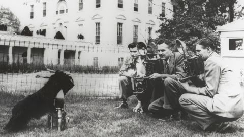 Roosevelt's dog Fala on the south lawn of the White House.