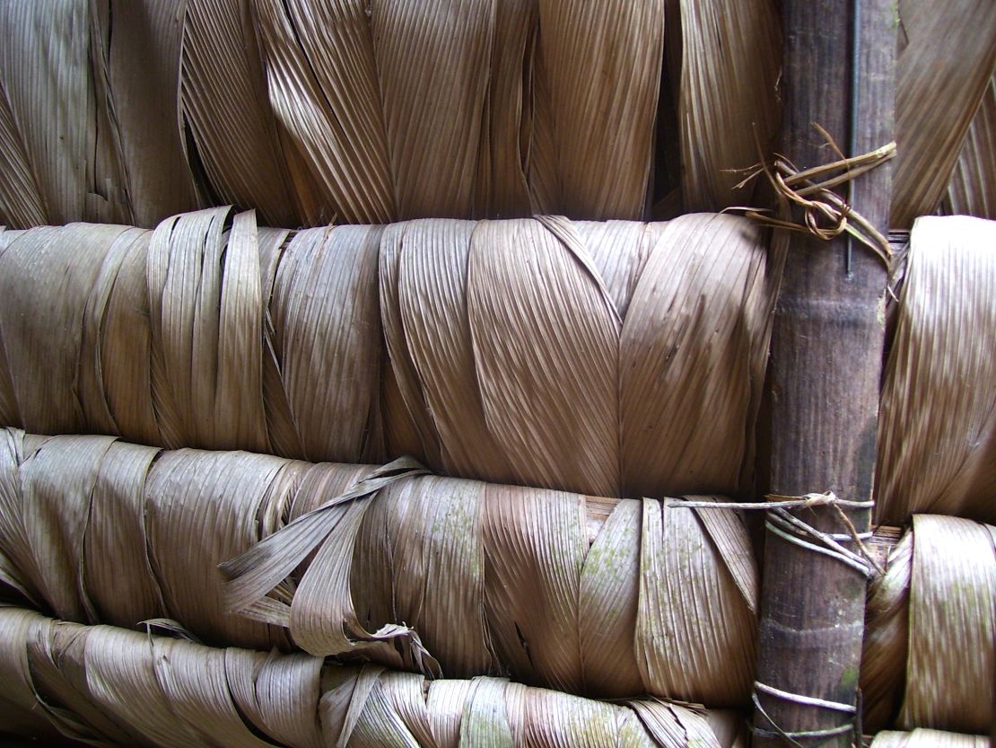 An Amazonian roof woven from palm and secured by vines.  
