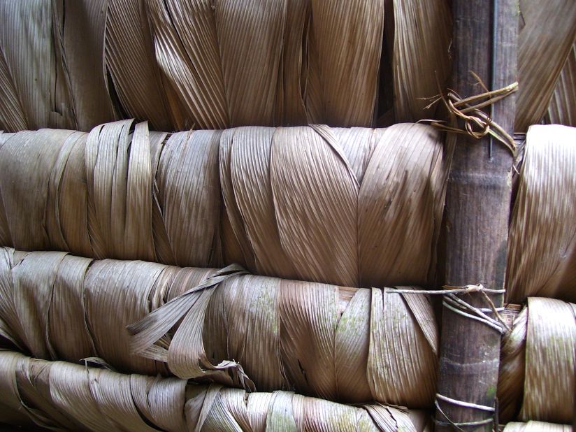 An Amazonian roof woven from palm and secured by vines in Ecuador.   