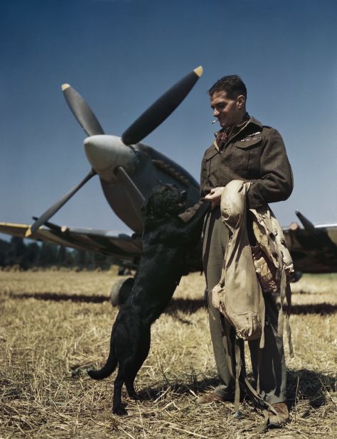 The RAF's top-scoring fighter pilot, with 31 confirmed kills at this date, Wing Commander James "Johnnie" Johnson, with his Spitfire and pet Labrador 'Sally' in Normandy, July 1944.