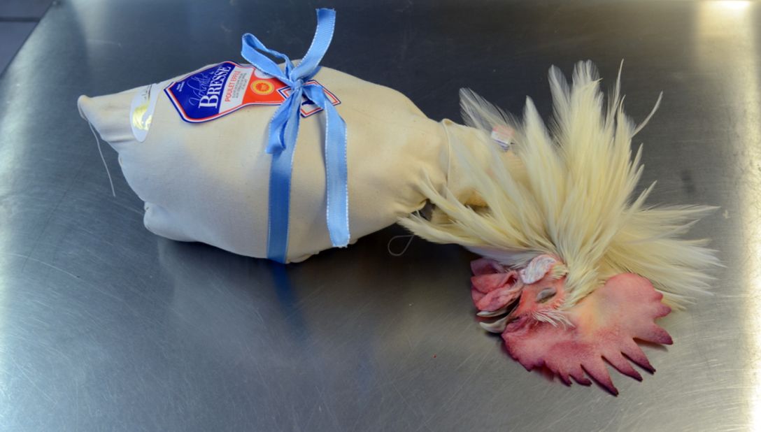 <strong>High esteem:</strong> "It's not just for conservation, aesthetics and taste, but it's also a mark of respect for the animal itself," she says. 