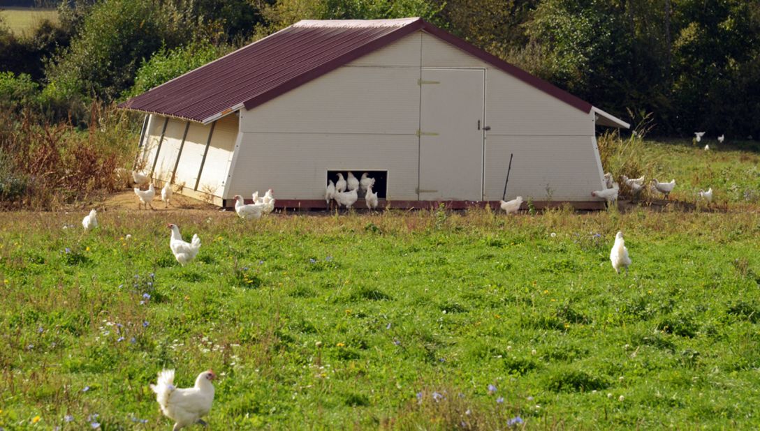 <strong>Bresse farming:</strong> The Laurency family farm, located seven kilometers from Louhans, raises 20,000 Bresse chickens a year.