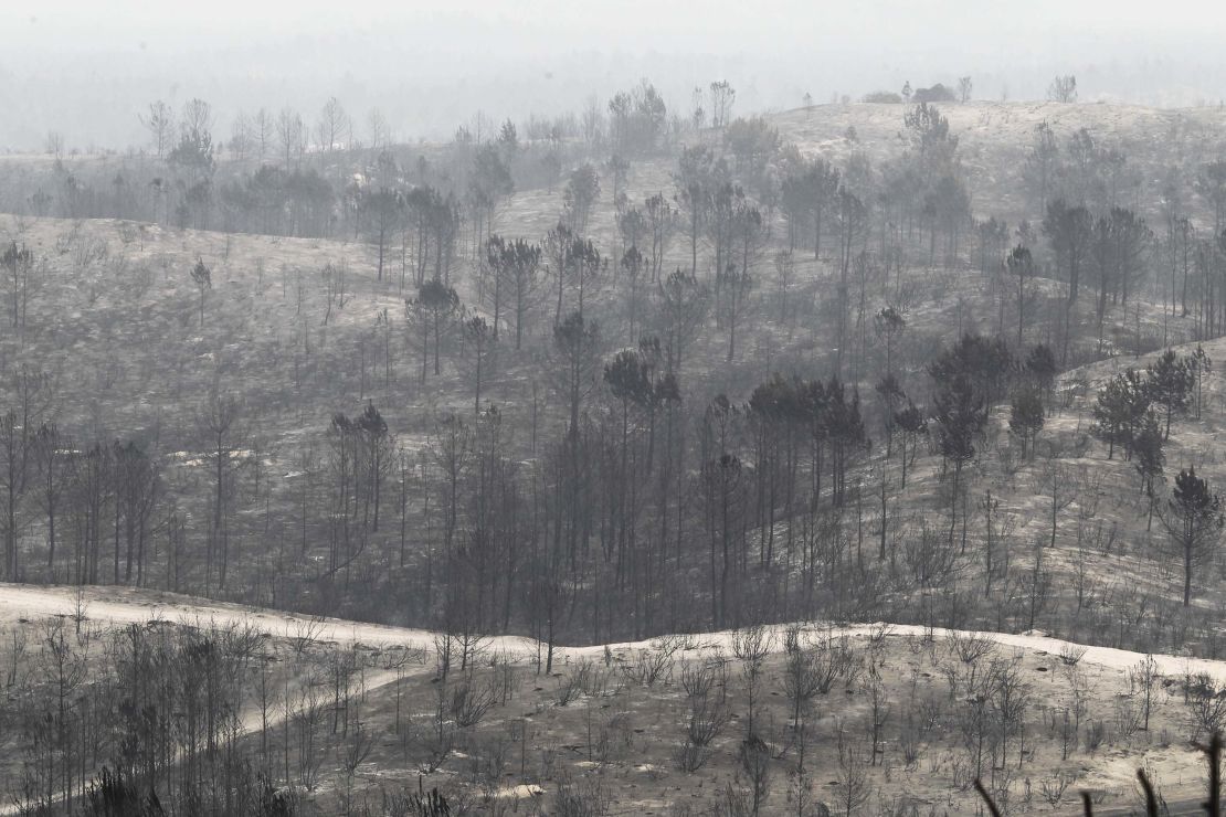 The remains of a forest destroyed by a wildfire in Vieira de Leiria, Marinha Grande, in central Portugal