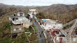 Weir Update Puerto Rico