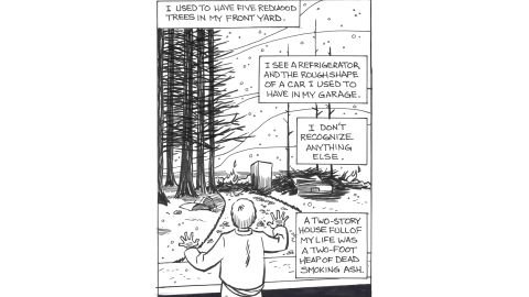 Wildfire comic home