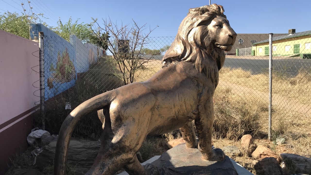 A statue of a lion outside the warehouse in Namibia.