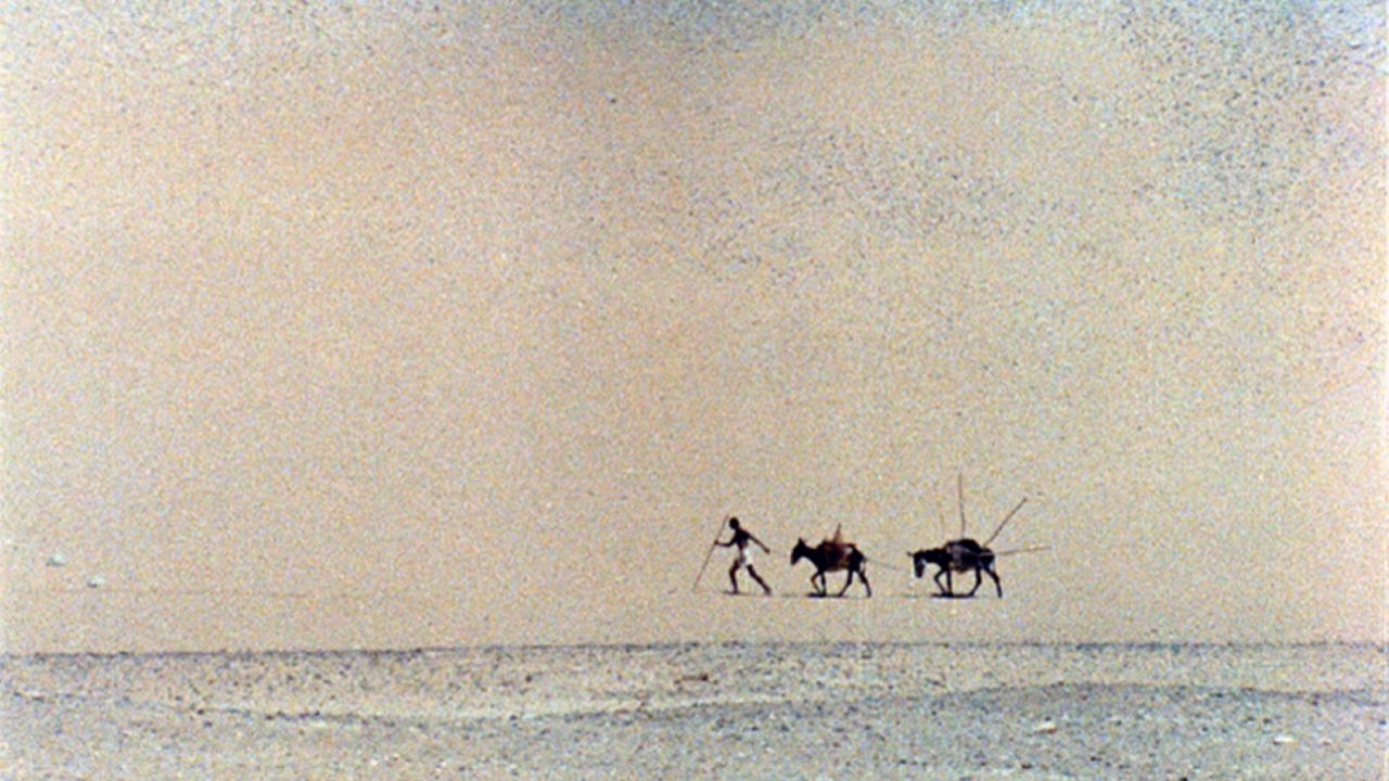 "The Eloquent Peasant" ("Shakavi El Flash el Fasi," 1969), directed by Shadi Abdel Salam, was restored in 2010 as part of the World Cinema Project.