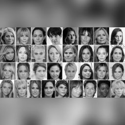 Gwyneth Paltrow, Rosanna Arquette, Angelina Jolie, Asia Argento, Dawn Dunning, Melissa Sagemiller, Mira Sorvino, Heather Graham/// Lauren Sivan, Louisette Geiss, Cara Delevingne, Katherine Kendall, Tomi-Ann Roberts, Minka Kelly, Rose McGowan, Claire Forlani/// Jessica Barth, Kate Beckinsale, Emma de Caunes, Ashley Judd, Judith Godreche, Ambra Battilana Gutierrez, Tara Subkoff, Lauren Holly///Sophie Dix, Lysette Anthony, Angie Everhart, Eva Green, Ivana Lowell, Paula Wachowiak, Lena Heady, Lupita Nyong'o, Heather Kerr
