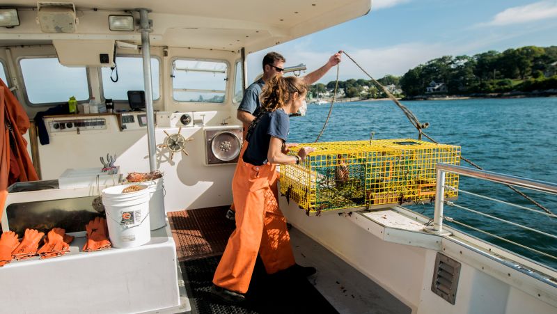 Lobster cruise in Maine On the sea with Lucky Catch image