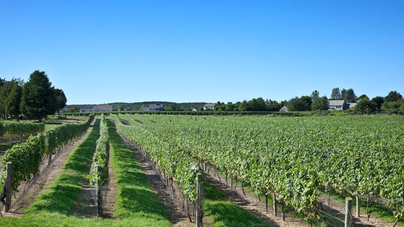 <strong>Country retreat:</strong> Here, well beyond Brooklyn and Queens (which constitute Long Island's western border), you'll find main roads flanked with sweeping farmland, top-notch vineyards, quaint hamlets, and historic ports