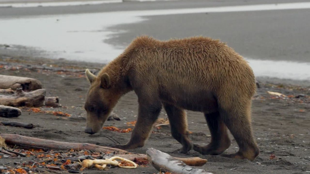 the wonder list alaska 1_00004414.jpg