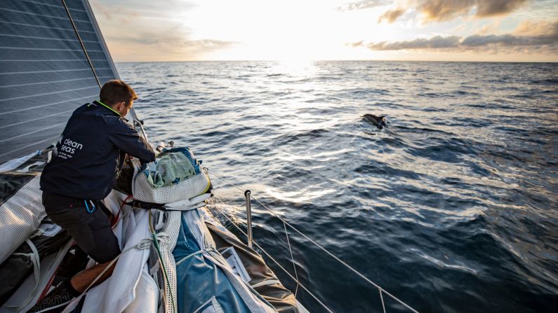 Micro-plastics are small (less than five millimeters in diameter) pieces of plastic which are eaten by fish and other sea life and birds in mistake for food. It eventually ends up in the human food chain.