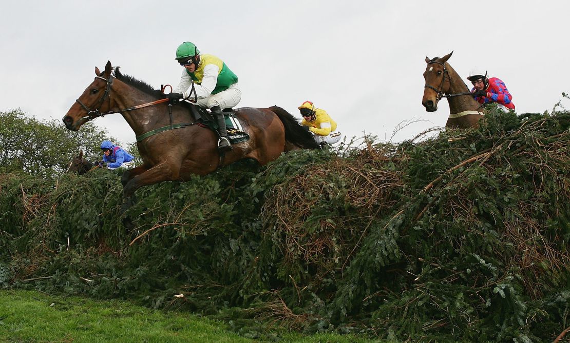 Willie Mullins trained Hedgehunter to Grand National win in 2005