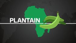 The production and consumption of Plantain in Africa_00001025.jpg