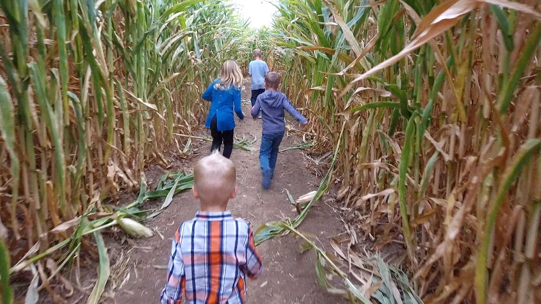 <strong>Farmstead Corn Maze:</strong> Fall is the time of year to explore a corn maze and learn about the state's agricultural history. 